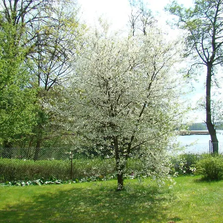 Letnisko Zakatek Ferienhaus Sila